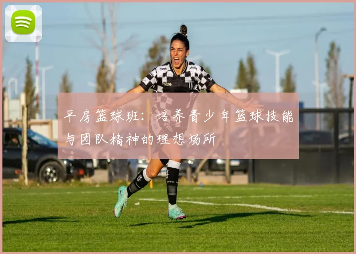 平房篮球班：培养青少年篮球技能与团队精神的理想场所