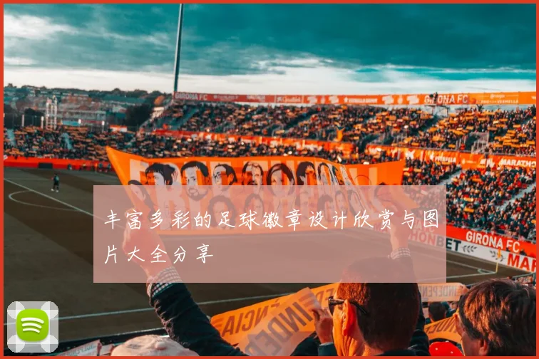 丰富多彩的足球徽章设计欣赏与图片大全分享