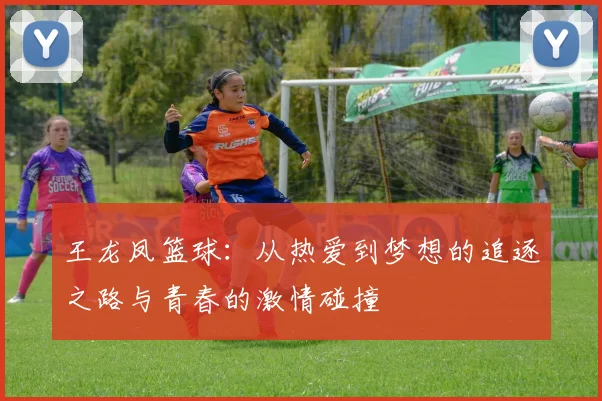 王龙凤篮球：从热爱到梦想的追逐之路与青春的激情碰撞